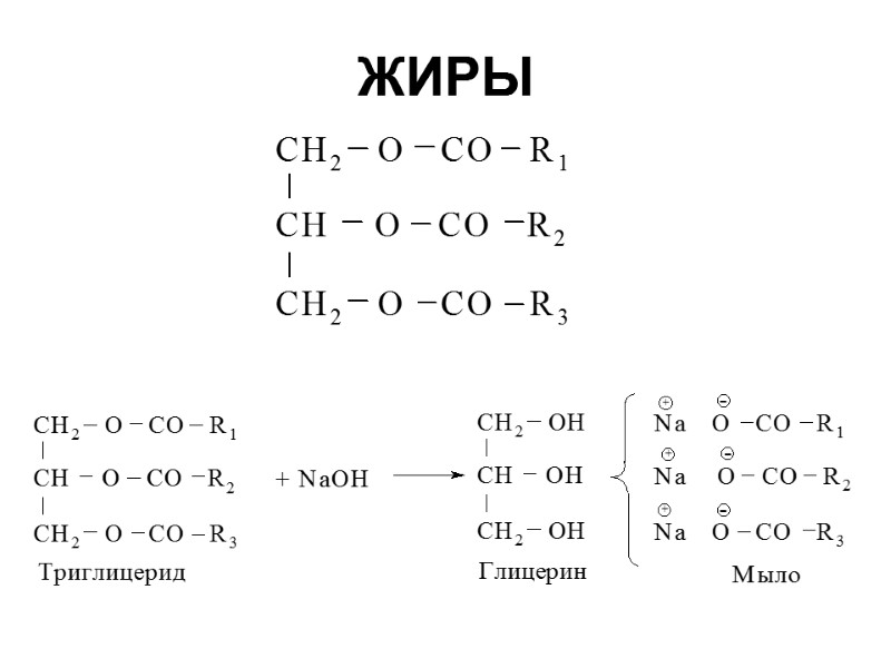 ЖИРЫ